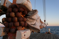 Nofy Be - traditional gaffed rig schooner - mast